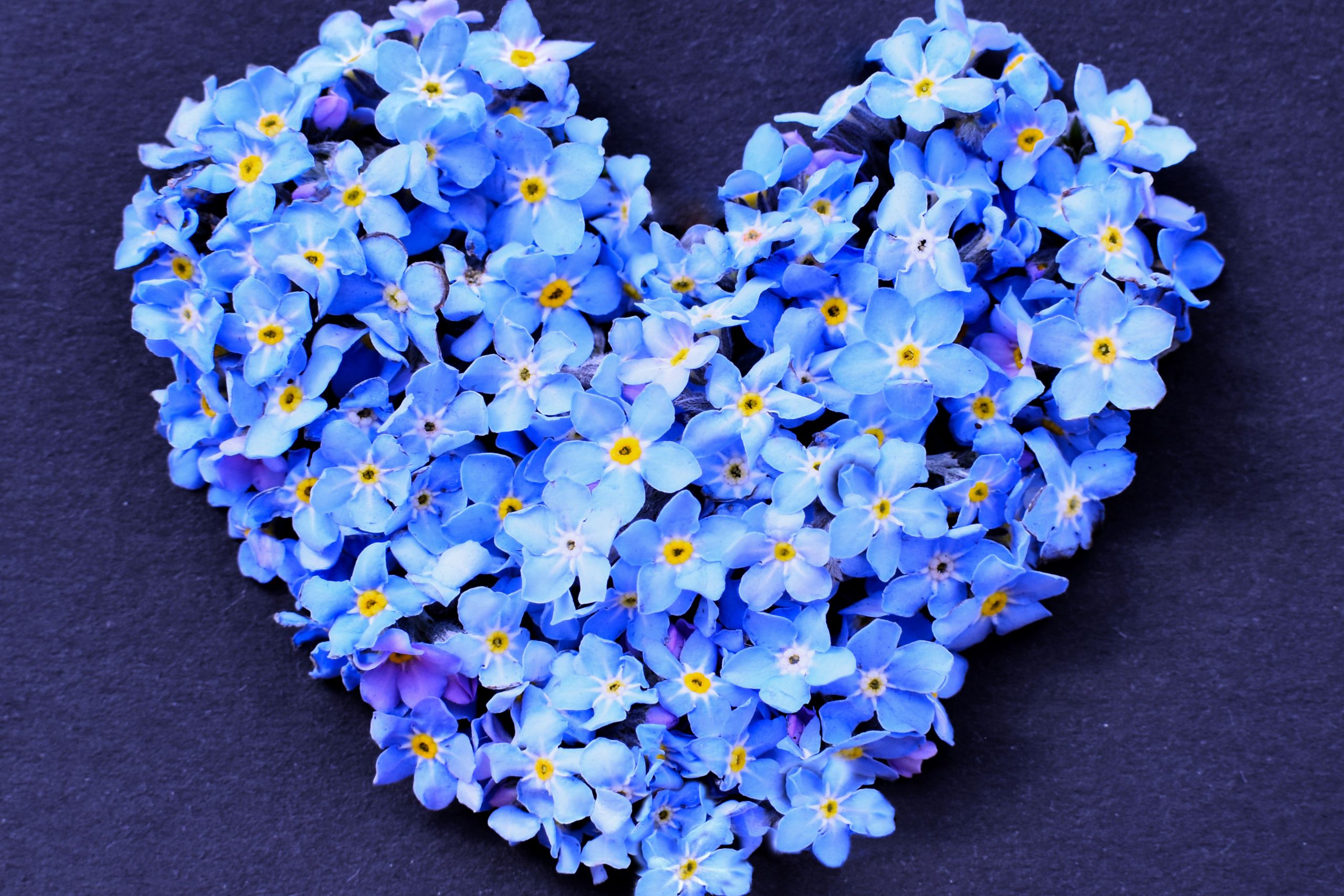 This is a photograph of a bunch of forget me nots, shaped into a heart. It is the header image for the 'Remember someone special' page on the Urostomy Association's website