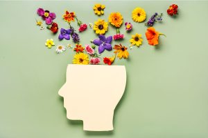 This is a graphic of a silhouetted head. Out of the top is a spray of colourful flowers.