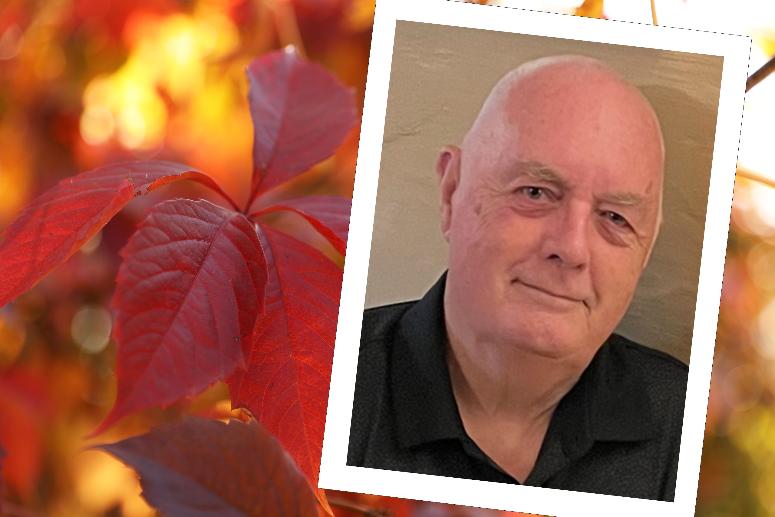 This image has autumn leaves in the background. Layered on top of that is a head and shoulders photo of Tony Kirkbank. He's wearing a black shirt and is smiling to the camera.